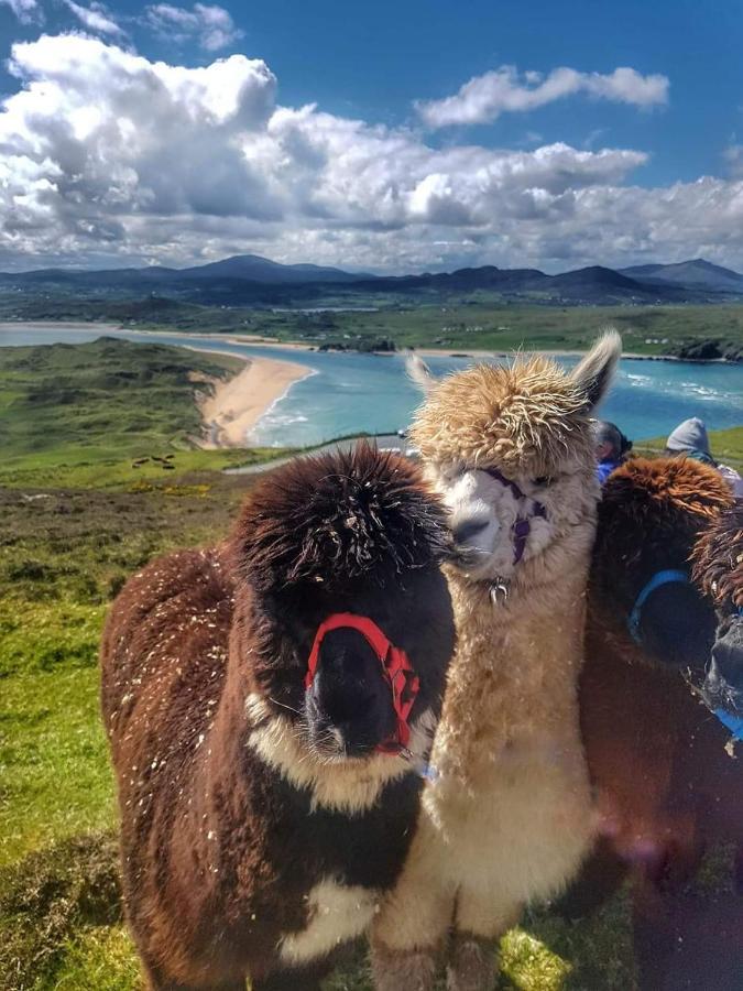 Hotel Biddy Ban'S Carnmalin Esterno foto